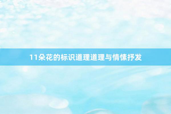 11朵花的标识道理道理与情愫抒发
