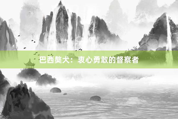 巴西獒犬：衷心勇敢的督察者